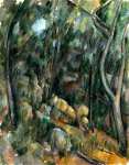 Paul Cezanne - The Grounds of the Chвteau Noir